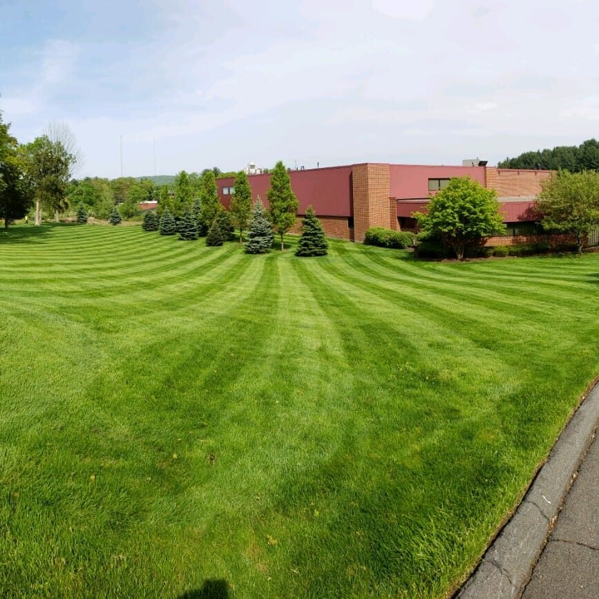 Maintained commercial lawn with clean mowing stripes