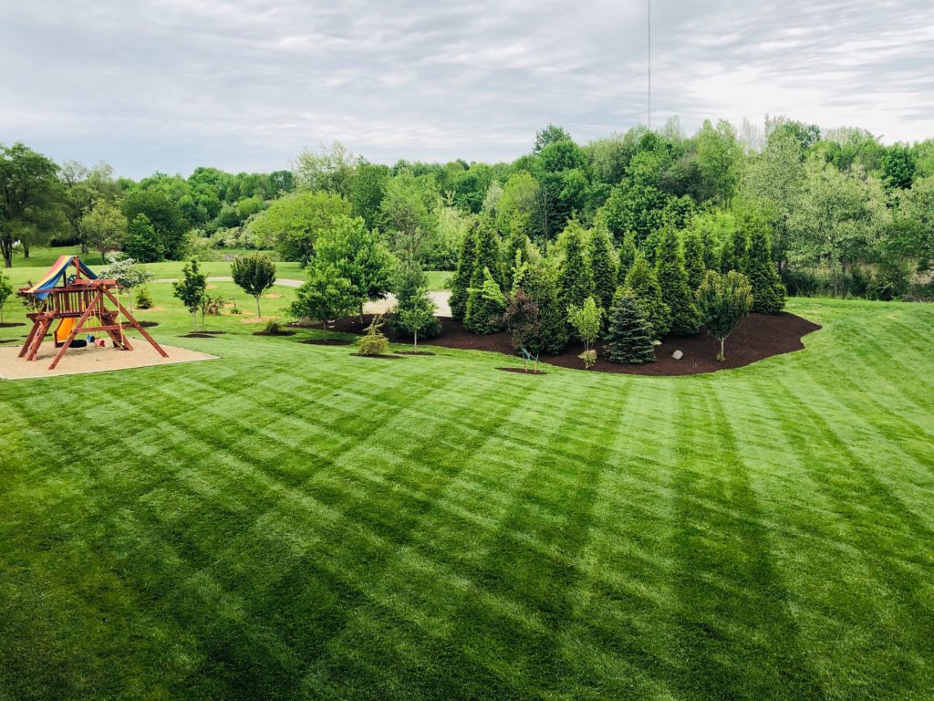 Striped lawn showing professional mowing and lawn care